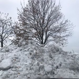 Meet your Posher, Kinnary